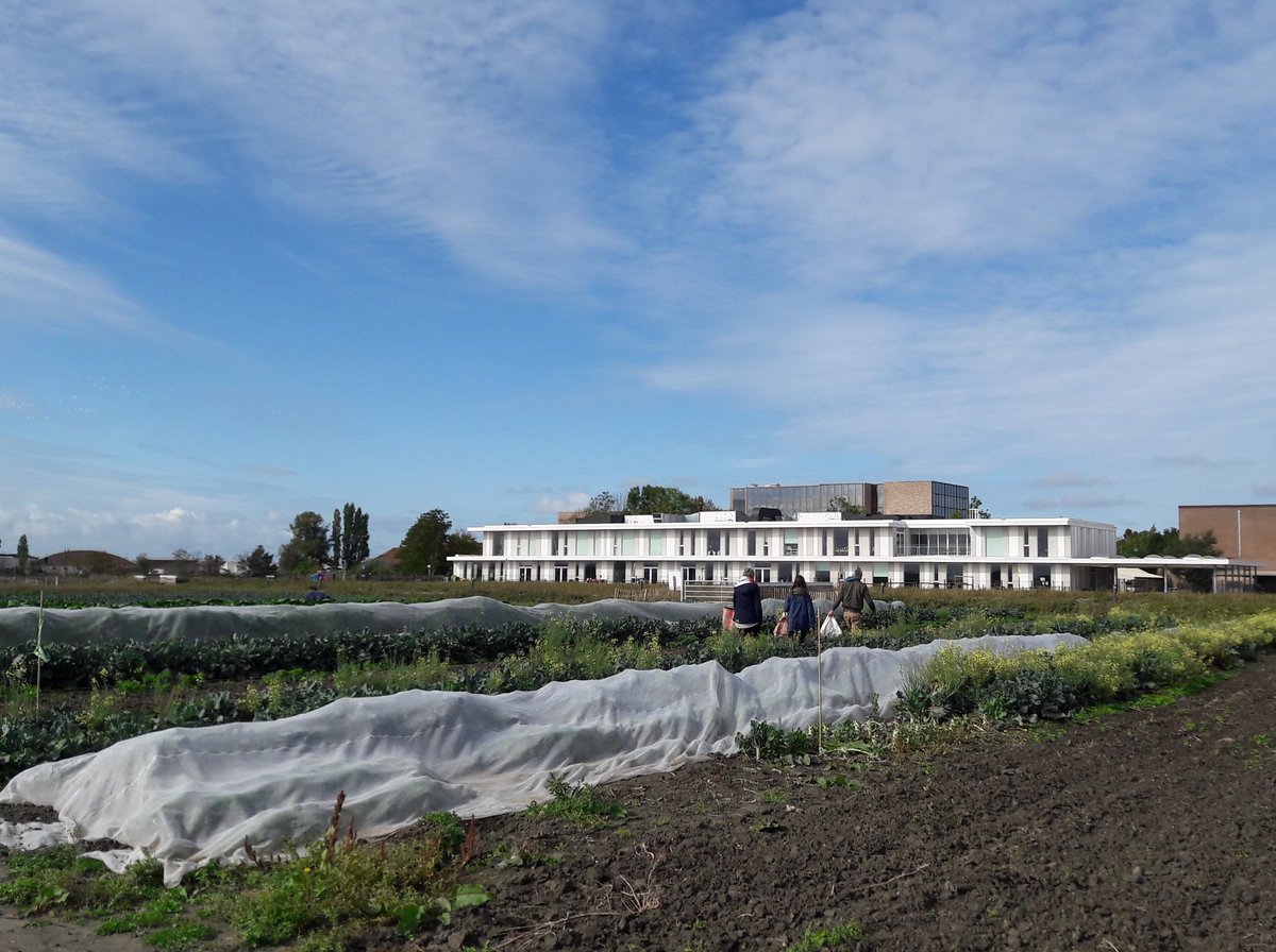 EKerselaers's tweet photo. Visit to the "Groen lint" @oostende today. Great to see how enthusiastic people are able to realize a variety of green open spaces in and around the city. Amazing how so many different stories get connected to this. #stepbystep #greenopenspace #tuinenvanstene #agriculturalparks https://t.co/x3rbLKMsLN