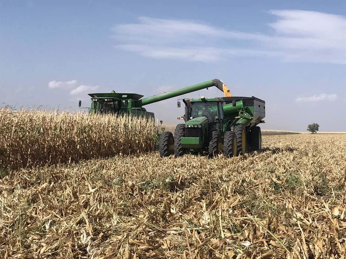 Bryan Boroughs tweet media