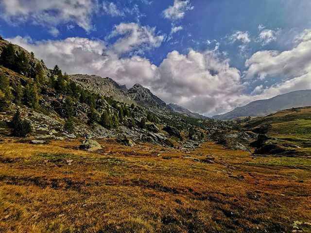 aledandelion's tweet photo. I bellissimi colori di inizio autunno delle montagne della Valtellina 
Scatta con Huawei P30 Pro
#riscrivileregole
#makeitpossible
#huaweibrandlover
#takenwithhuawei 
#p30
#p30pro
#huaweip30
#huaweip30pro
#huawei
#inlombardia
#valtellina
#valtellinalover… https://t.co/0hnBYfbL9b https://t.co/cYOYXDDrnD