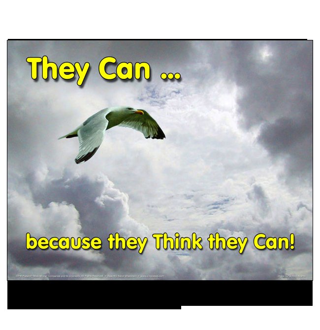 PaulGambles2's tweet photo. @mtmalinen They can't... because they think they can..
Unlike seabirds...
#LordsOfFinance https://t.co/oAbwLElupt