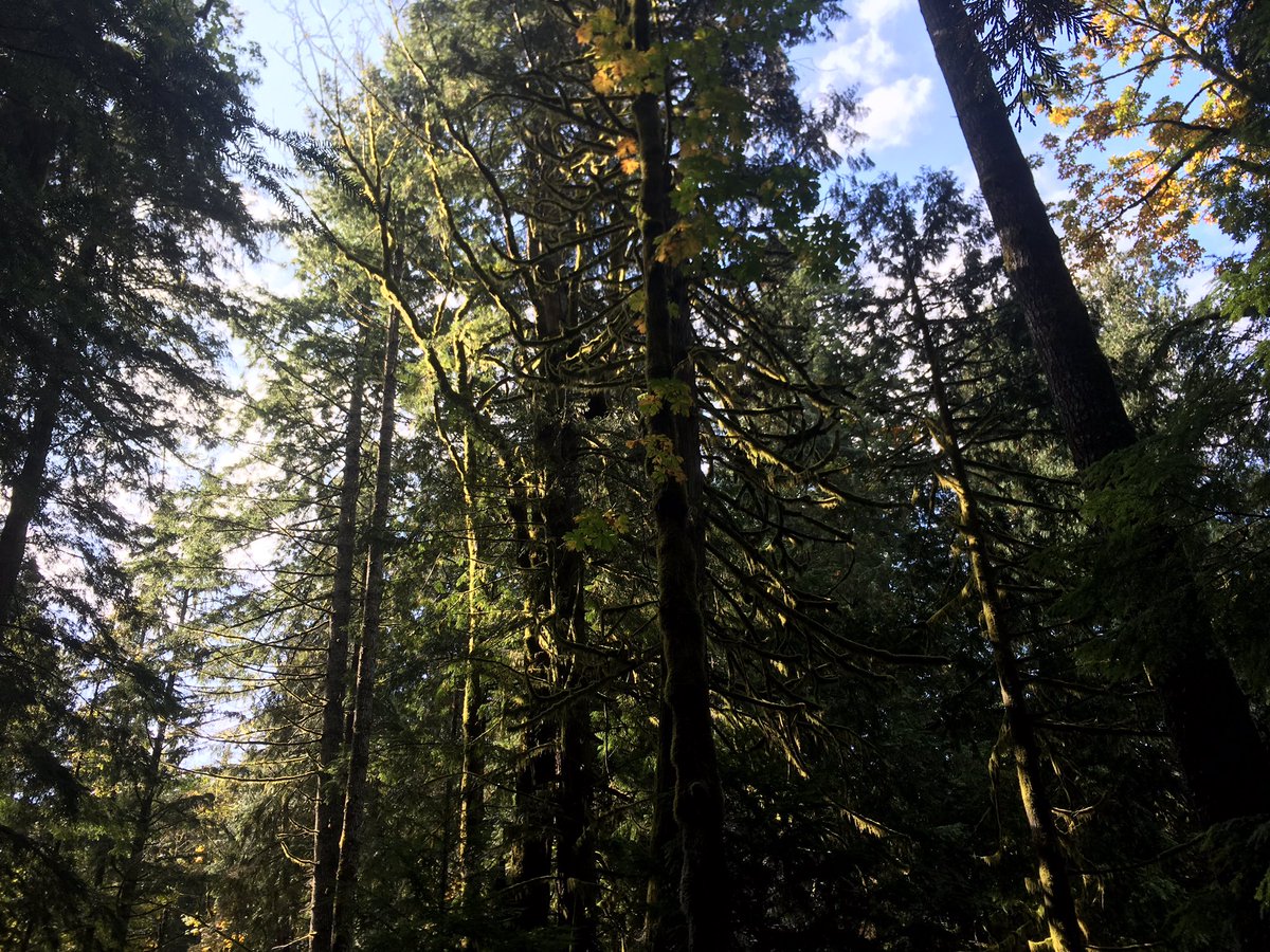 A stunning fall day. So grateful for the wonders of Vancouver island. 
#vancouverisland #fall #sunnyfallday