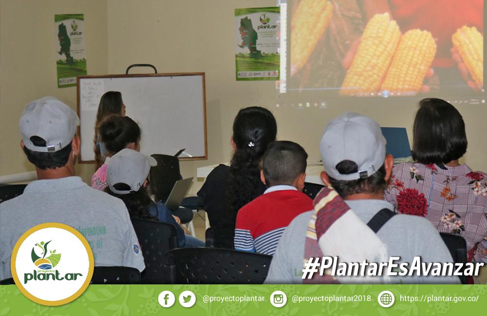 ProyectoPlantar's tweet photo. #PlantarEsAvanzar
Felicitamos a los agricultores por todo el compromiso durante el desarrollo del #ProyectoPlantar,  en el municipio de Convención - Norte de Santander. https://t.co/yq8D8WPkIu