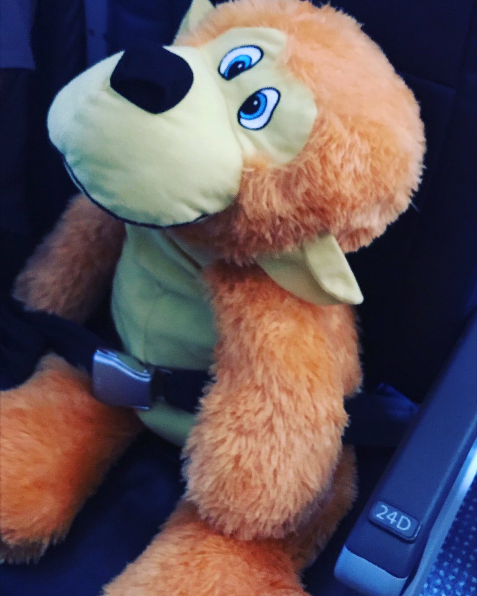 RTwseFA's tweet photo. My favorite passenger of the day 🥰 #travelbuddy #buckleup #falife #traveler https://t.co/ItMrgwF6Vr