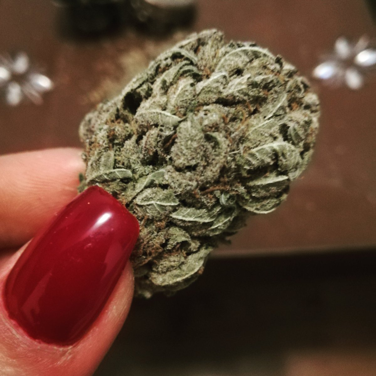 MJBlogCanada's tweet image. Blue God bud for my Monday mood! Do you love or hate Mondays?

#stonerfam #MJBlog #MondayVibes #MondayMotivation #highsociety #stayhigh #stonernation #IAmCannabis #cannabis #cannabiscommunity #weed #marijuana #weedporn #weedsociety #cannabisculture
#hightimes #cannabiscanada
