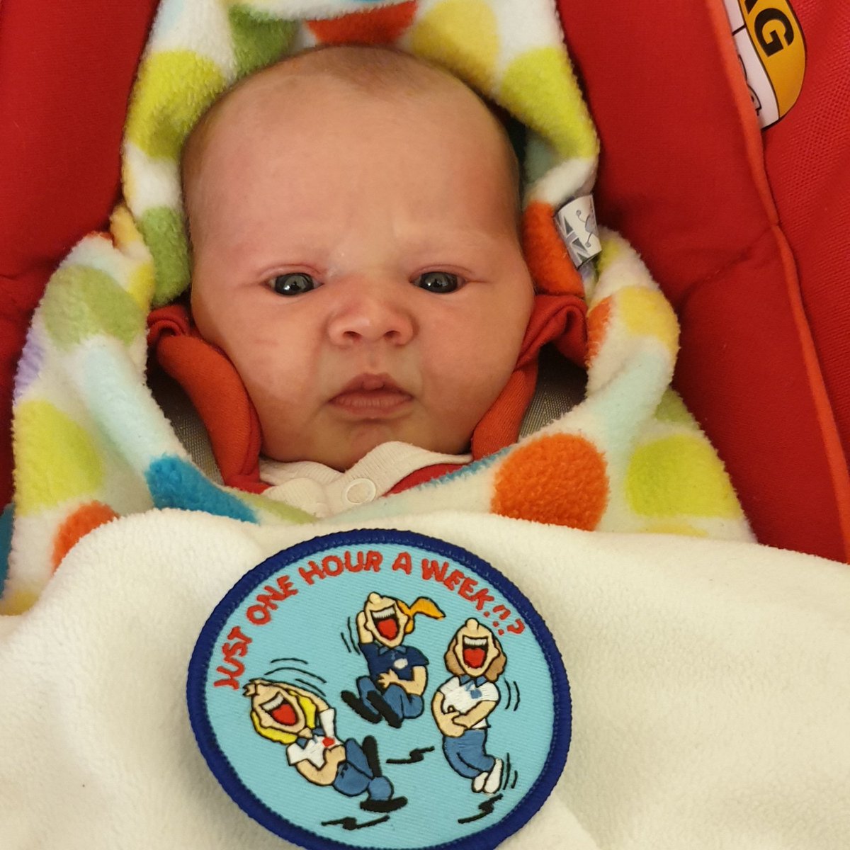 WreccleshamRan1's tweet photo. First District meeting at 5 days old 💙 🌈 ☘️ #girlguidingisintheblood #futurerainbowbrownieguideranger #firstbadge https://t.co/1heYJconrR