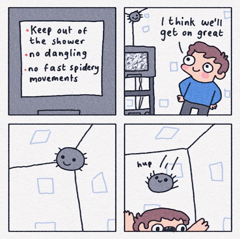 the typical bathroom spider 