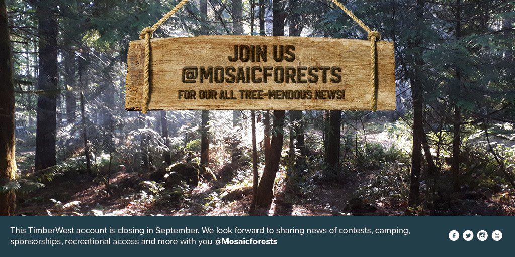 #DYK We are closing this account? Follow us over <a href="/mosaicforests/">MosaicForests</a> and continue to keep up-to-date on our latest news on contests, recreational opportunities, community partnerships, events and more! You can also sign-up to <a href="/mosaicforests/">MosaicForests</a> newsletter here: bit.ly/311MQq8