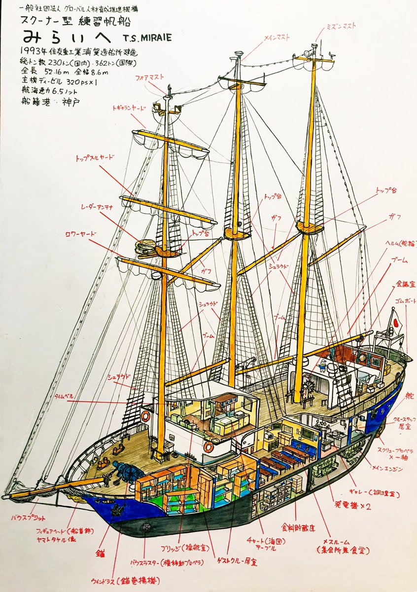 Punip Cruises 自分で言うのもなんだけどだけど 力作の帆船みらいへ 船内解剖図 先日の乗船時にスタッフクルーの皆様に監修していただきました もちろんこの絵も12日からの神戸コンチェルト絵画展で展示します 帆船みらいへ カットアウェイイラスト