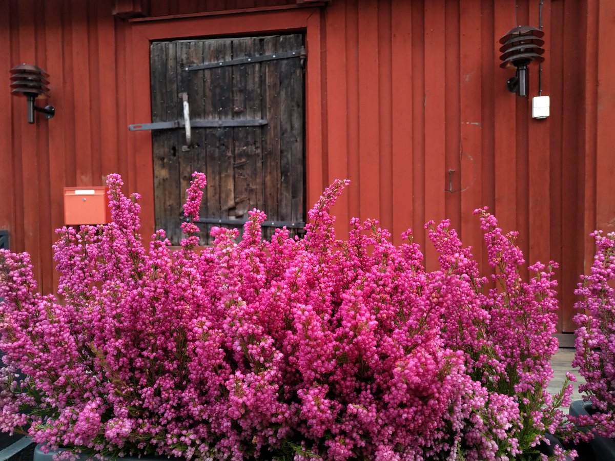 From now on, the base camp at #WK should feature #ScandinavianDesign styling cues!.,😁😆😂