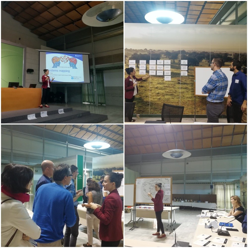 FranziskaGaupp's tweet image. Learning about systems mapping as part of a social simulation at the @ClimateKIC Deep Demonstration workshop with @IIASAVienna researcher @sibel_eker_ in Seville. #DeepDemonstration #ForgingResilientRegions