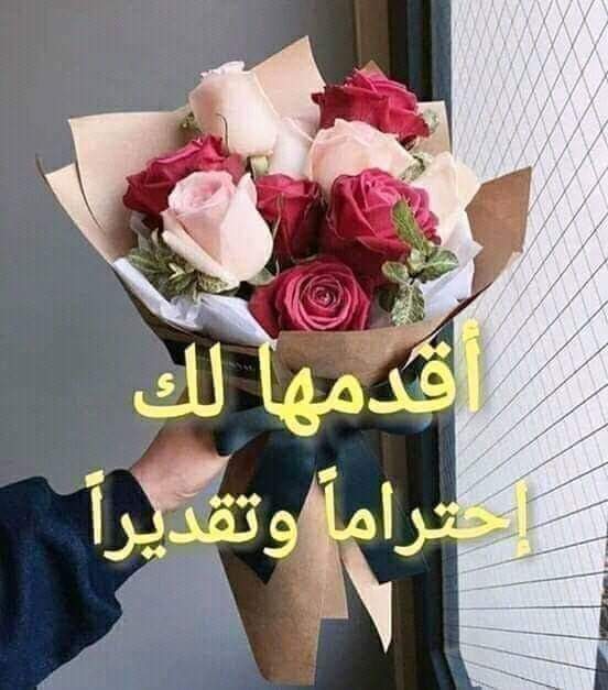 AMuhaemn's tweet photo. @kH2P16R6Mp7dUtG تسلمي ملك ذوق https://t.co/rmF5K7ZBQd
