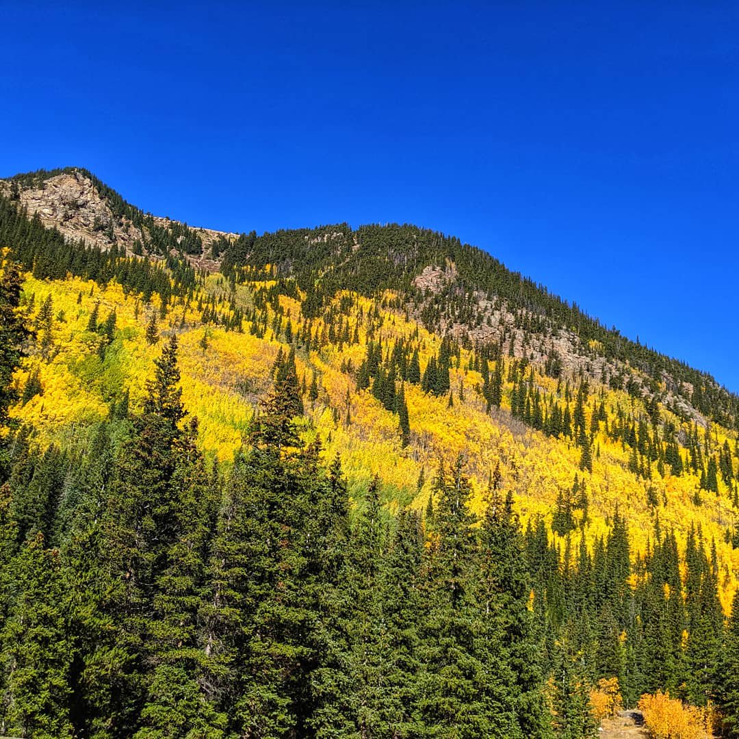 Autumn colors 🍁🍂 have peaked over Guanella Pass. 
#COwx #leafpeeper #leafpeeping  #coloradofall  #autumn #RockyMountains