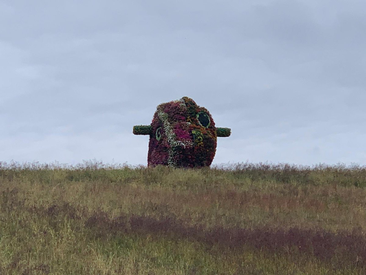 NBerggruen's tweet photo. Glenstone: A gift of beauty and culture. #glenstonemuseum #thomasphifer https://t.co/owMxFUiK2o