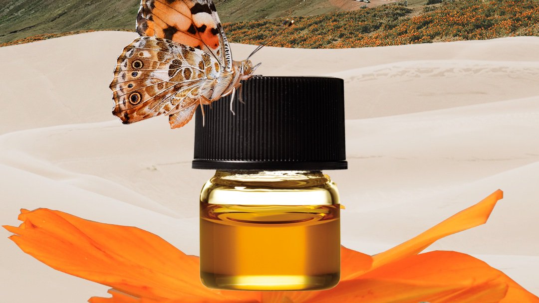 FreshTerps™ – Extremely Rare Cannabis Oil For Even Rarer Occasions. Cannabis terpenes extracted from the purest plants, bestowing the highest quality flavors and effects that each strain has to offer, however you choose to use it.