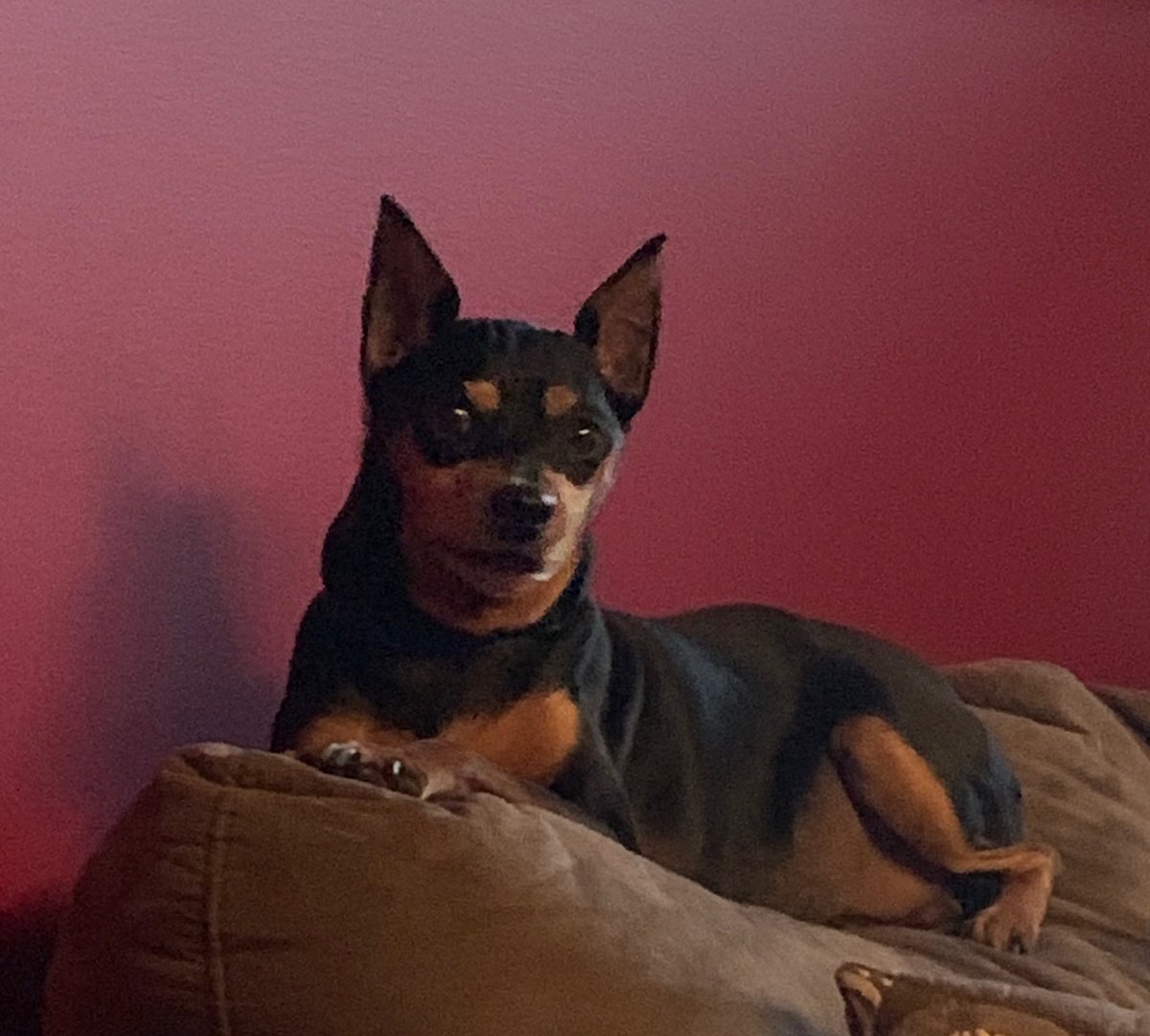 James Gottwald tweet media