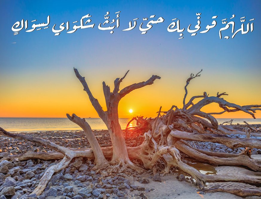 سيد يحيى الحسيني tweet media