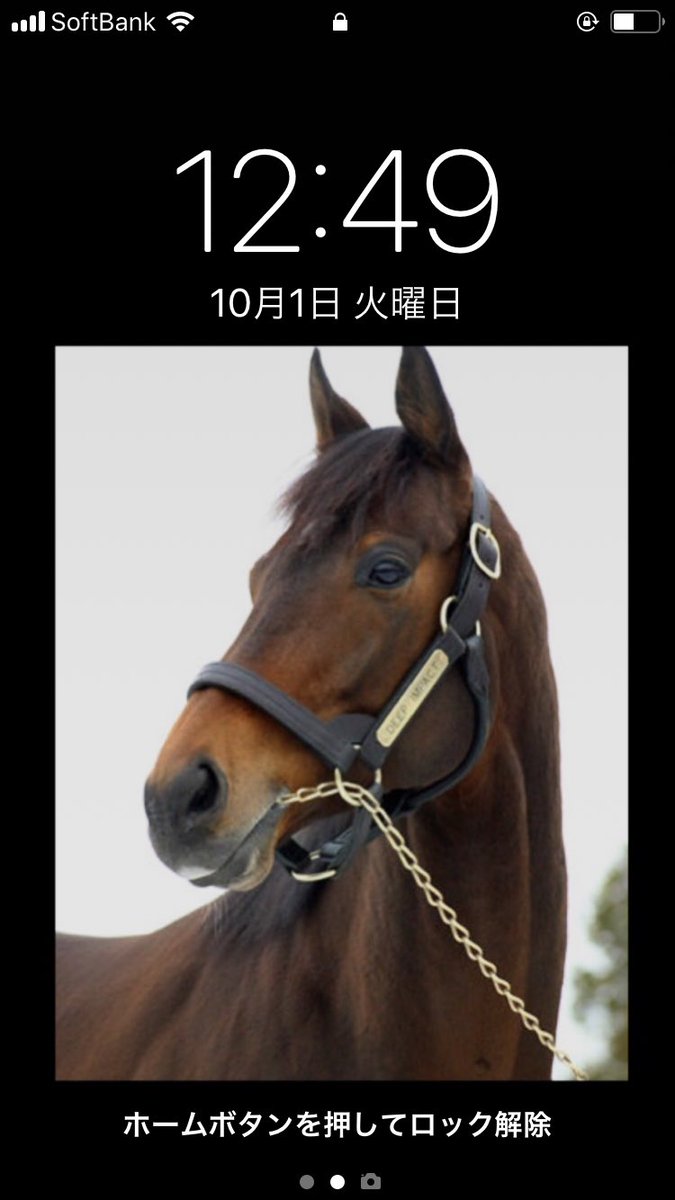 mie_kurobas's tweet photo. あなたの携帯の待ち受け画像を教えてください🙋🏻
因みに私はディープインパクトです💗 https://t.co/A3X2BKI3bv