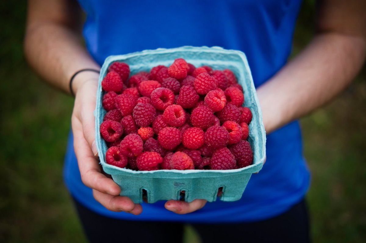 Went raspberry picking with my better half this past weekend where I snapped this stunner. I can taste this photo
📷 Fujifilm X-T3 + Fujinon XF 35mm f/2
#fall #autumn #raspberries #fujifilm #fujinon #fujifilmX_US #fuji #photography #myexposureedit