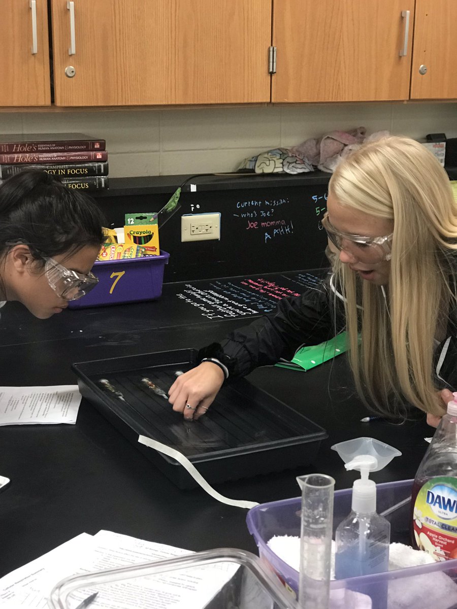 Science_Larson's tweet photo. Day 2 of the cellular respiration lab in AP Bio where students tested their own variables and its affect on cellular respiration. #thisishowweAP #APBio_WHS #BulldogLife_WHS #cellularrespiration #respirometer https://t.co/d8TDhAteu7
