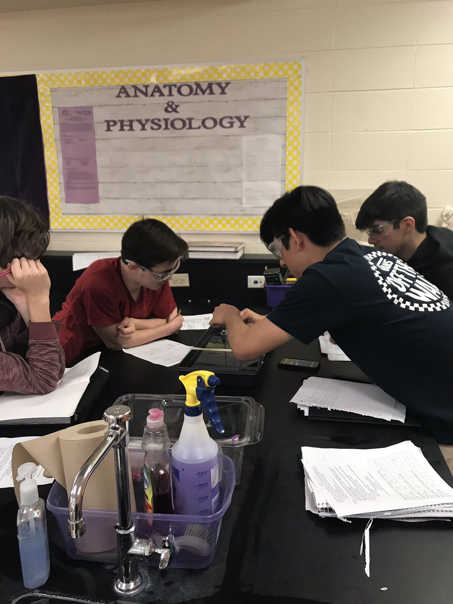 Science_Larson's tweet photo. Day 2 of the cellular respiration lab in AP Bio where students tested their own variables and its affect on cellular respiration. #thisishowweAP #APBio_WHS #BulldogLife_WHS #cellularrespiration #respirometer https://t.co/d8TDhAteu7