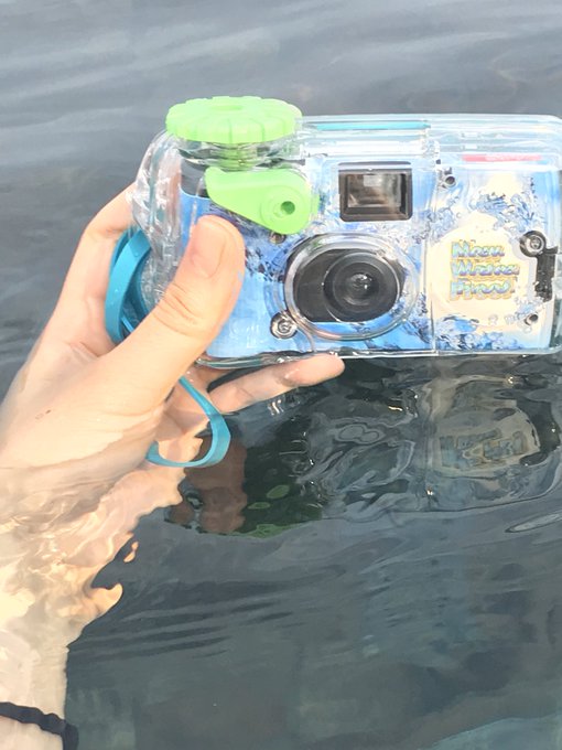 水中写ルンですのtwitterイラスト検索結果