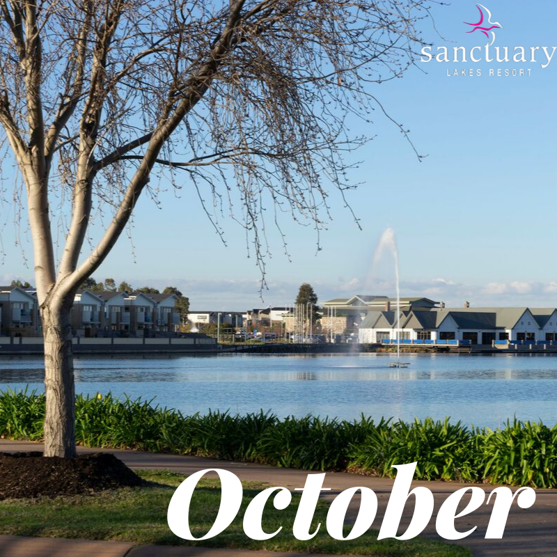 SanctuaryLakes1's tweet photo. October! 

#SanctuaryLakes #SanctuaryLakesResort #SanctuaryLakesResortServices #SLRS #PointCook #Melbourne #Sanctuary #Lakes #October #Oct #Fountain #Lake https://t.co/S9Ed04BtmP