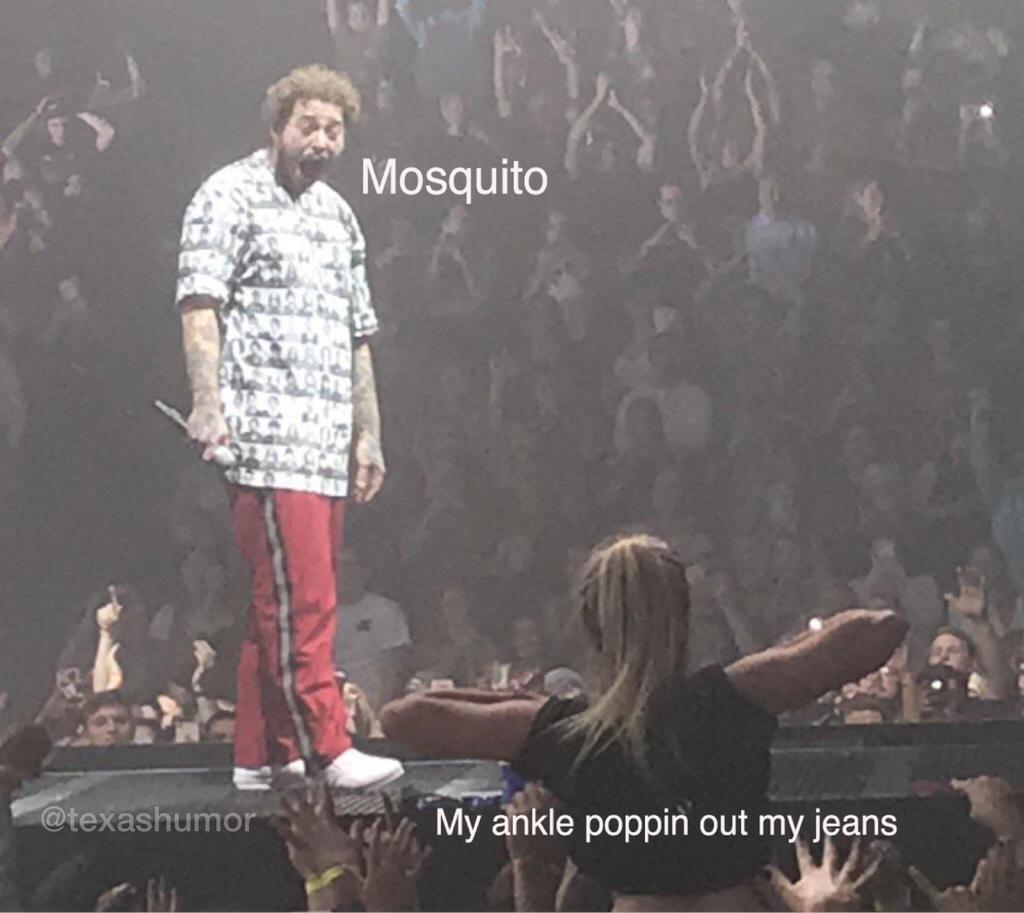 TexasHumor's tweet photo. Ruthless https://t.co/I4YOzqhMSM
