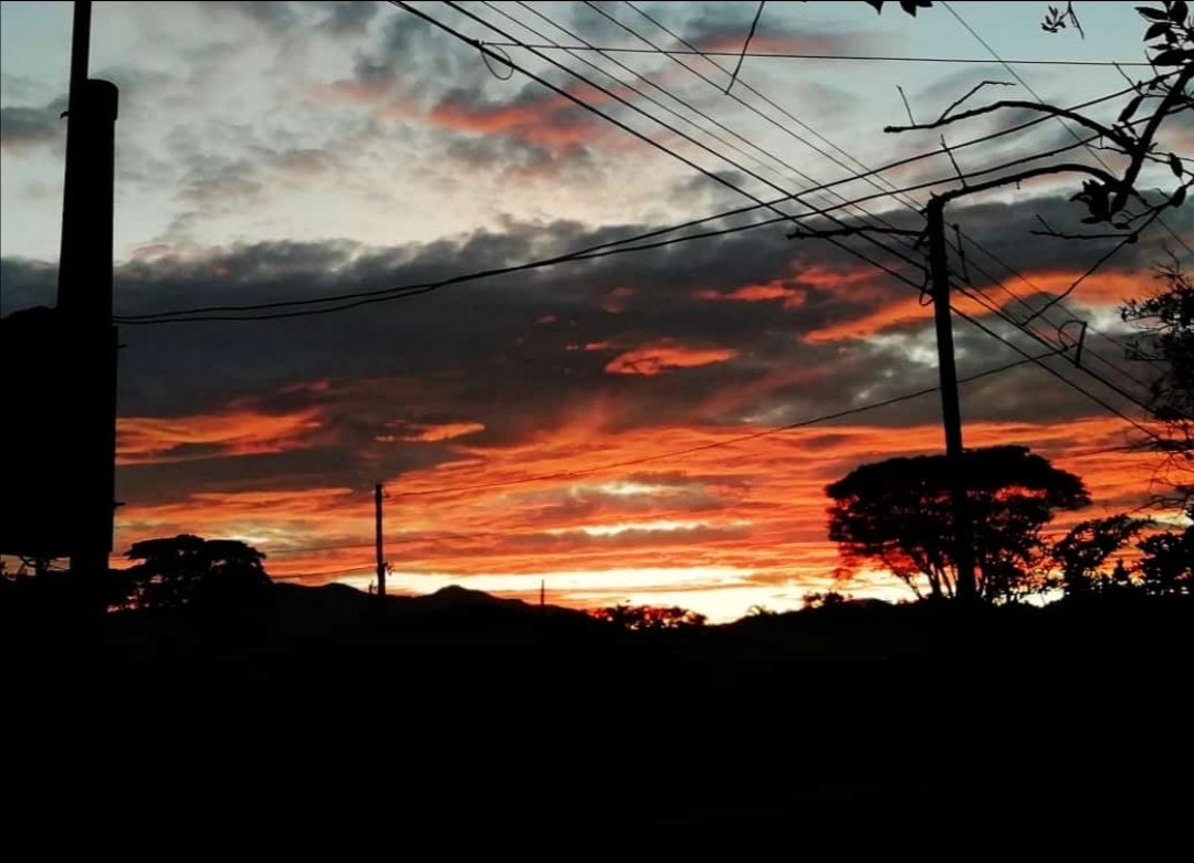 El cielo está de fiesta con la llegada de Guarito🥺🙏❤️