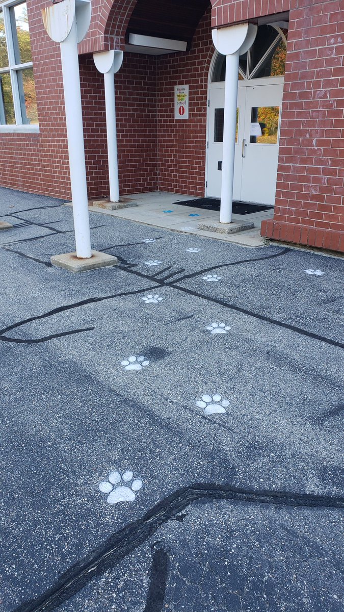 rripley6's tweet photo. Just a few paw prints to welcome the Harrison Huskies to school in the morning! #MakeSchoolWelcoming #Learn17 https://t.co/3SD84WqsQe