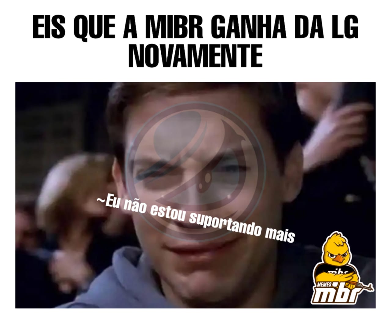 Memes MIBR