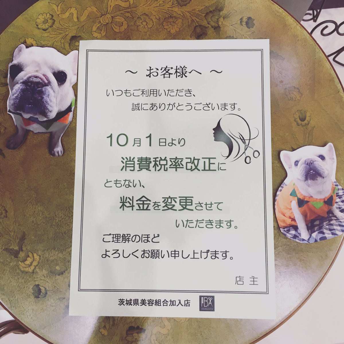 Hair Alouetteヘアアルエット 10月にはいり増税によりアルエットでも料金を変更いたします これからもよろしくお願いいたします 増税 美容室 美容院 ヘアサロン 水戸美容室 水戸ヘアサロン みと 水戸 茨城 茨城美容室 Hair Alouetteヘアアルエット 10月にはいり増税によりアルエットでも料金を変更いたします これからもよろしくお願いいたします 増税 美容室 美容院 ヘアサロン 水戸美容室 水戸ヘアサロン みと 水戸 茨城 茨城美容室