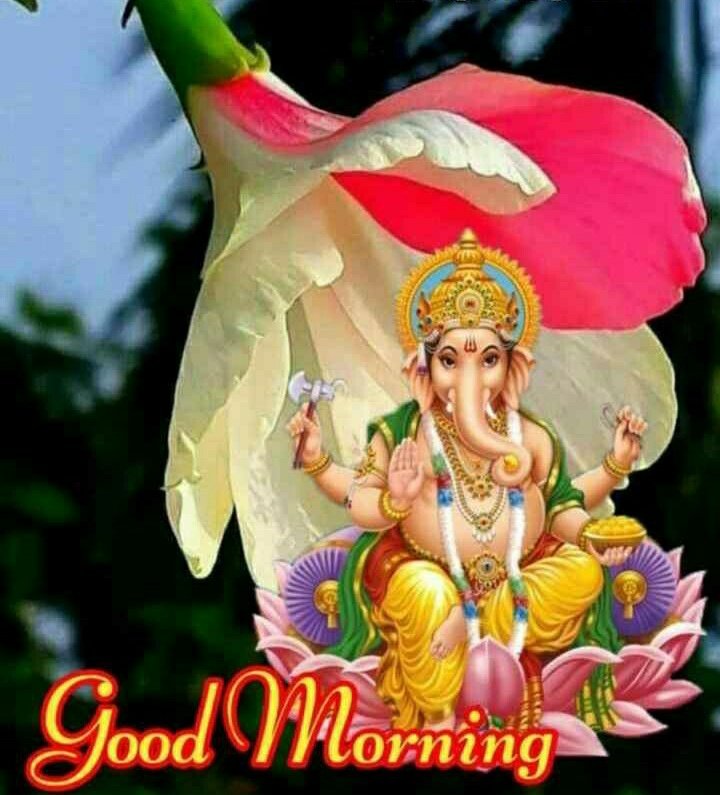 Arun Suikar On Twitter Good Morning Sir Happy Thursday Jay Shree