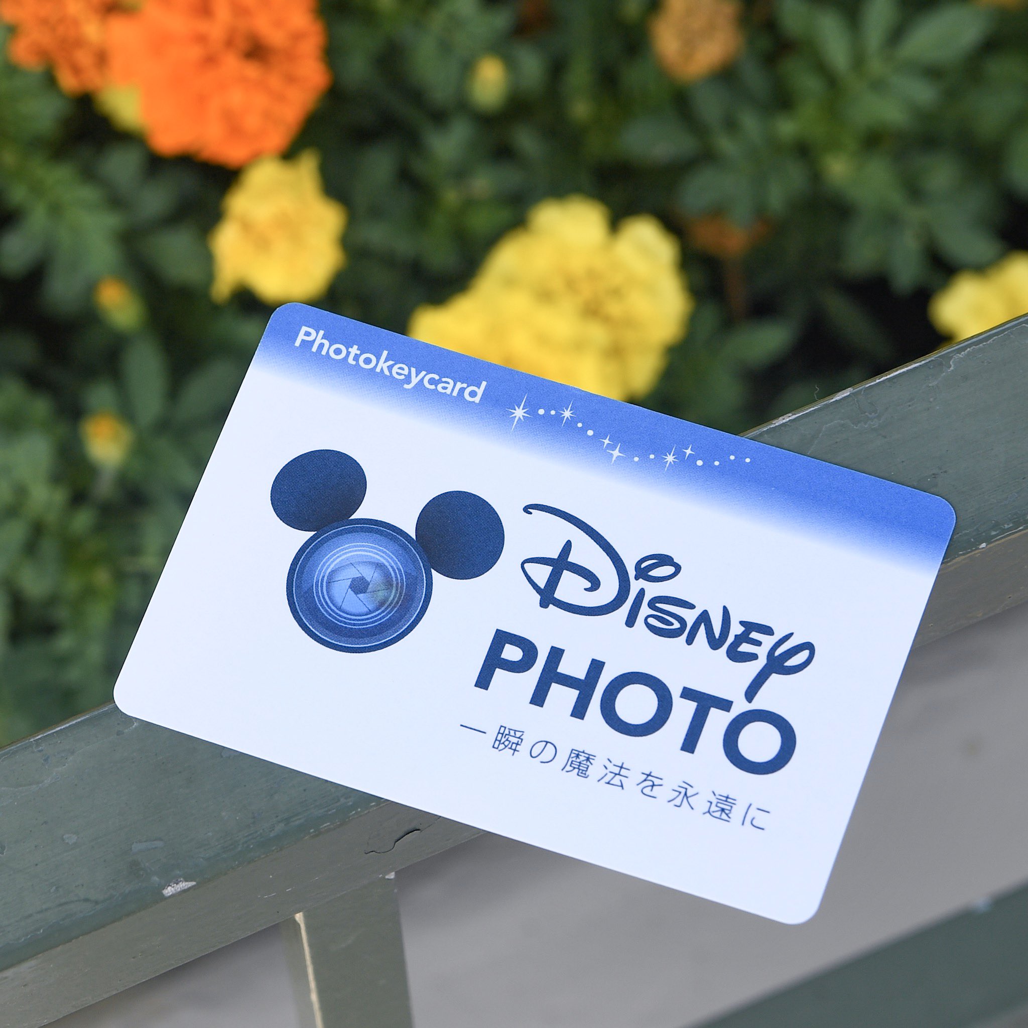 Mezzomikiのディズニーブログ 東京ディズニーリゾート フォトキーカードのデザインが本日よりリニューアル 一瞬の魔法を永遠に T Co 2oq0beqafr T Co M5yz5ipapu Twitter