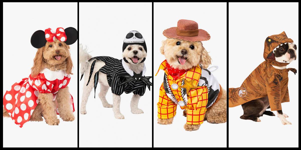 Happy Halloweenie~ 🐶🎃 Get your furry friend ready for the season. 

Shop pet costumes during our up to 50% off Halloween sale: hottopic.me/LGmlK6