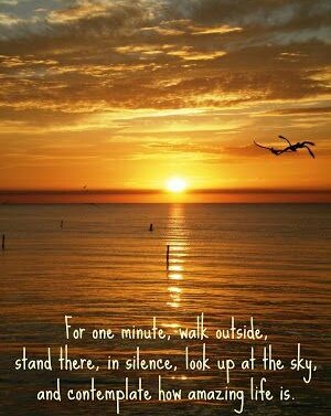 ramanathegunner's tweet photo. #goodmorning 
#sunset #morning #quote https://t.co/ZHuHzA7LTZ