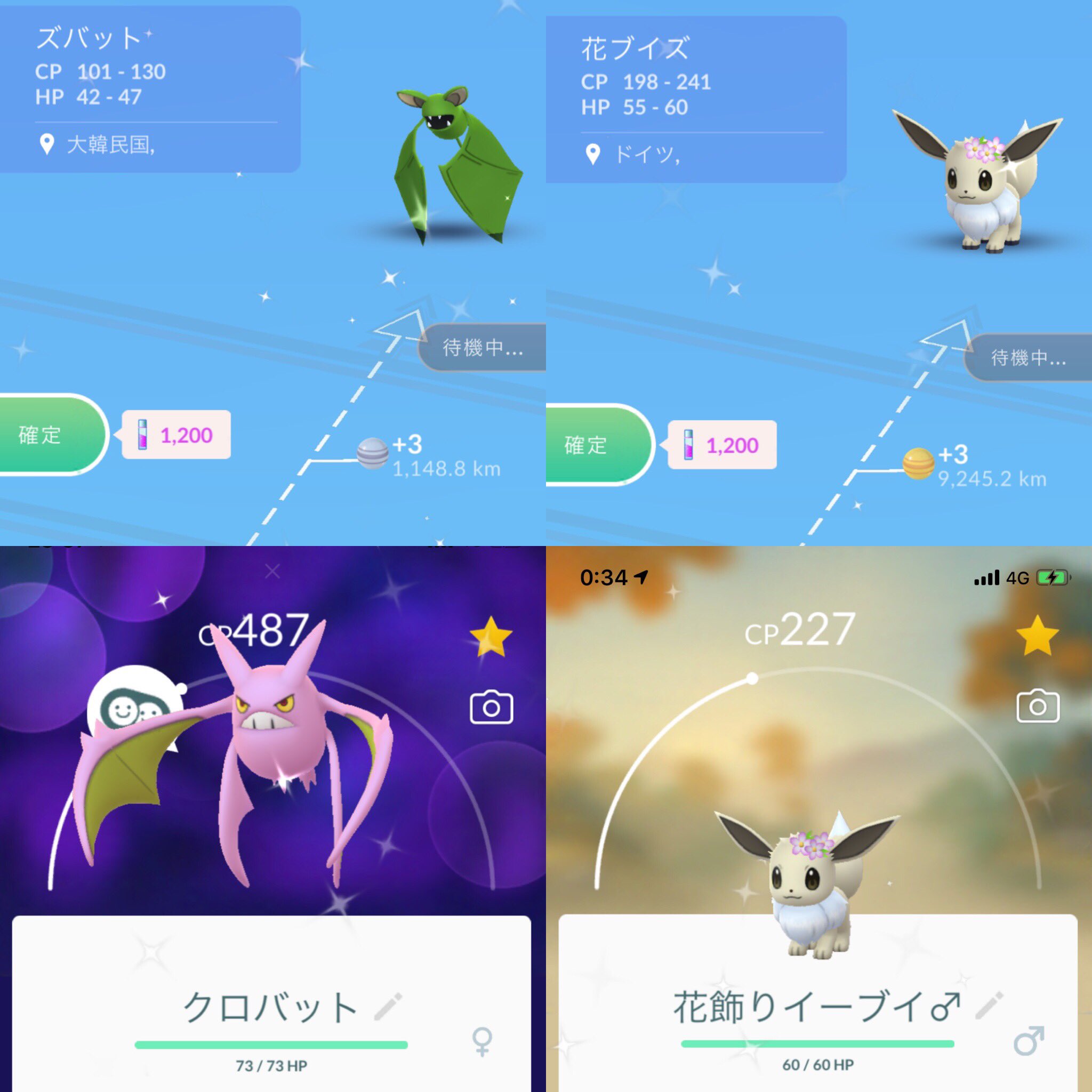 色違いクロバット Twitter Search Twitter