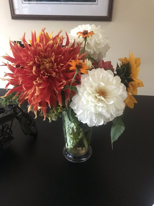 Birthday flowers 🌻❤️ https://t.co/YTSJP696Bl<a href="/tag/sale"class="tags"><span>#sale</span></a><a href="/tag/snapchat"class="tags"><span>#snapchat</span></a><a href="/tag/boobs"class="tags"><span>#boobs</span></a><a href="/tag/pornhub"class="tags"><span>#pornhub</span></a><a href="/tag/promotion"class="tags"><span>#promotion</span></a><a href="/tag/deal"class="tags"><span>#deal</span></a>