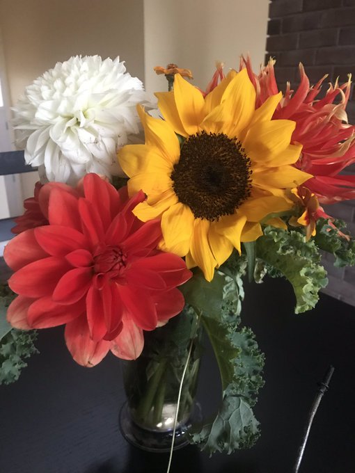 Birthday flowers 🌻❤️ https://t.co/YTSJP696Bl<a href="/tag/sale"class="tags"><span>#sale</span></a><a href="/tag/snapchat"class="tags"><span>#snapchat</span></a><a href="/tag/boobs"class="tags"><span>#boobs</span></a><a href="/tag/pornhub"class="tags"><span>#pornhub</span></a><a href="/tag/promotion"class="tags"><span>#promotion</span></a><a href="/tag/deal"class="tags"><span>#deal</span></a>