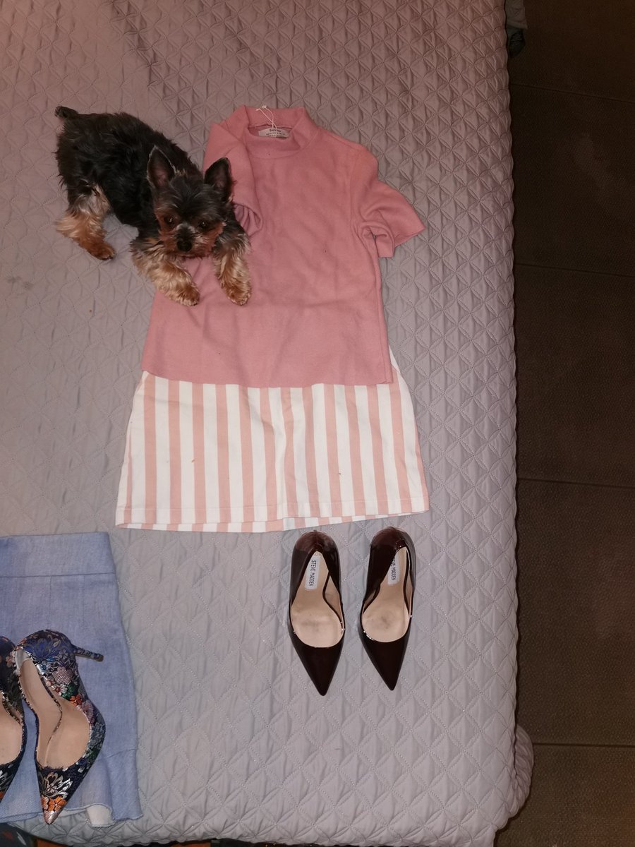 Maryfer Centeno tweet media