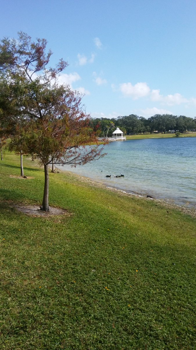 Financial Service Agent tweet media