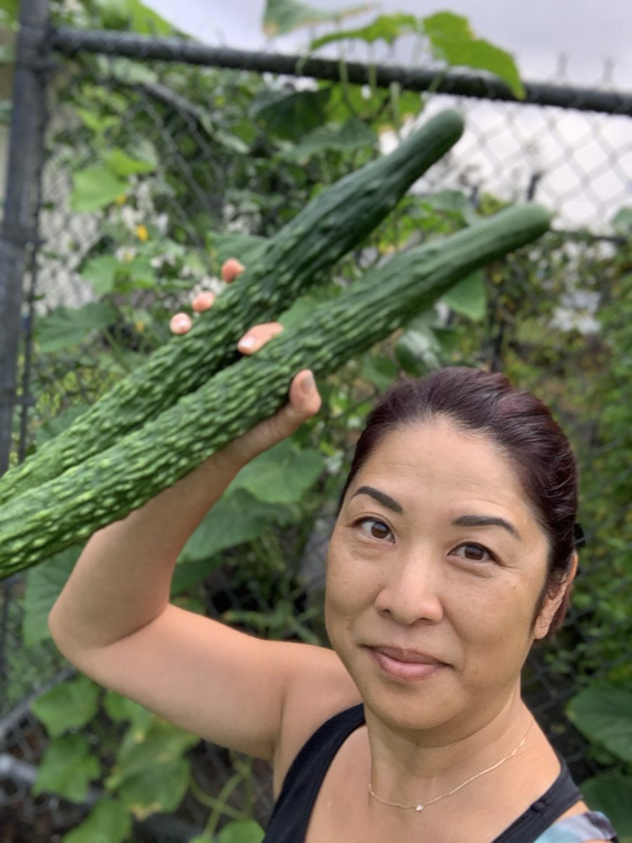 livinghilostyle's tweet photo. Garden to Table: Thai-ish Cucumber Salad https://t.co/fVgIQG1YUy https://t.co/u2ObWsqcBu