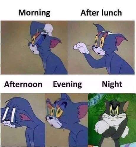 ADamSallaH0's tweet image. 