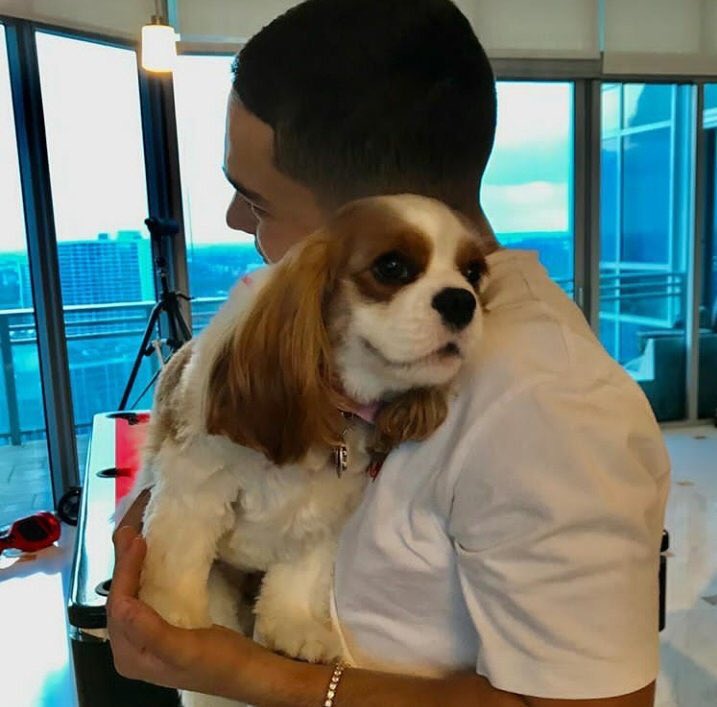 bluestarkey's tweet photo. they are so adorable, my heart is melting right now! ♥️🐶 https://t.co/wvgllvaImu
