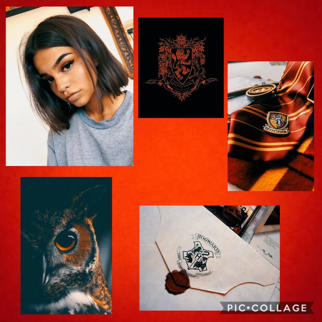 Isafro_'s tweet image. Yo y Atenea estamos sumamente agradecidas por esta gran oportunidad.🦉
Algo con lo que yo siempre soñé y ahora algo que formará parte de mi ser, de mi día a día. Estoy muy feliz.
Esa carta de admisión me alegro el día y probablemente el año !
#ArrivingHogwarts #ConGryffindura