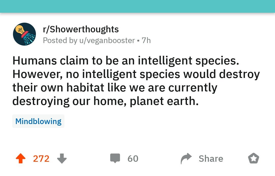 Is it intelligence? Or insanity or self destruction? .......#Tuesday #Dashain #Nepal #Kathmandu #TuesdayMotivation #TuesdayThoughts #TuesdayMorning #GoodMorning #ClimateAction #ClimateChange #PlanetEarth #Earth #GretaThunberg #CNN #Asia