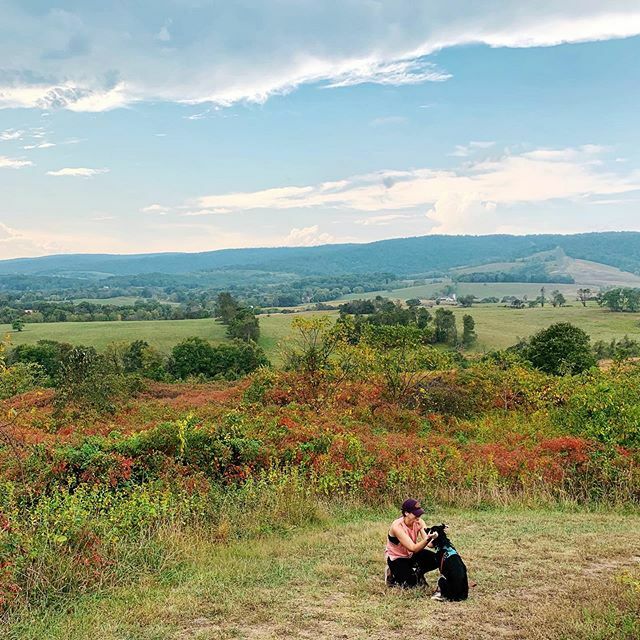 See that red in the landscape? Despite the 80 degree temps, it still looks like fall is trying to come to Virginia! &amp; I’m ready for it. 🍂 / #SkyMeadowsStatePark⁣
⁣
P.s. This was my first time visiting Sky Meadows State Park. Hiked 4-ish miles on the … ift.tt/2niyJ1n