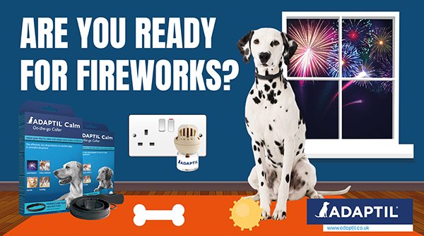 Adaptil's tweet photo. Is your dog scared of fireworks and loud noises? If youโre not sure if your furry friend is scared then look out for signs such as shaking, panting, clinging to you, hiding away.
#ADAPTIL #keepdogscalm #petsandfireworks #dogs #bonfirenight #fireworks https://t.co/IxsQ3doflR