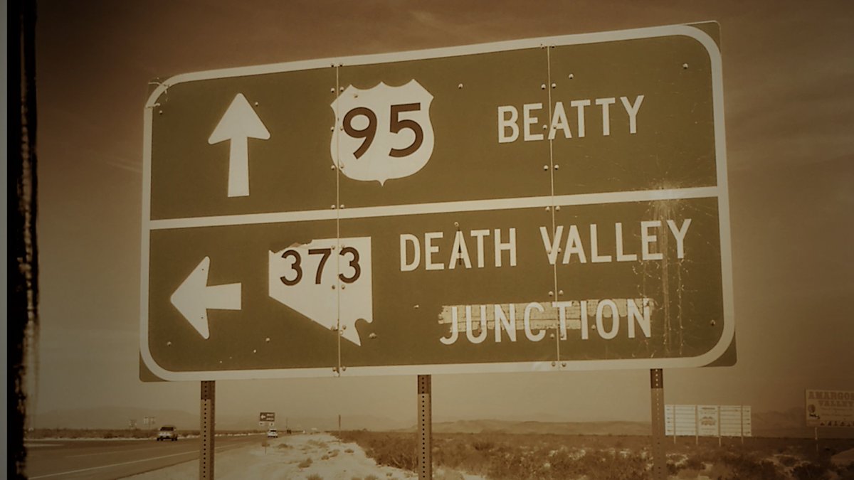 steveszy tweet media