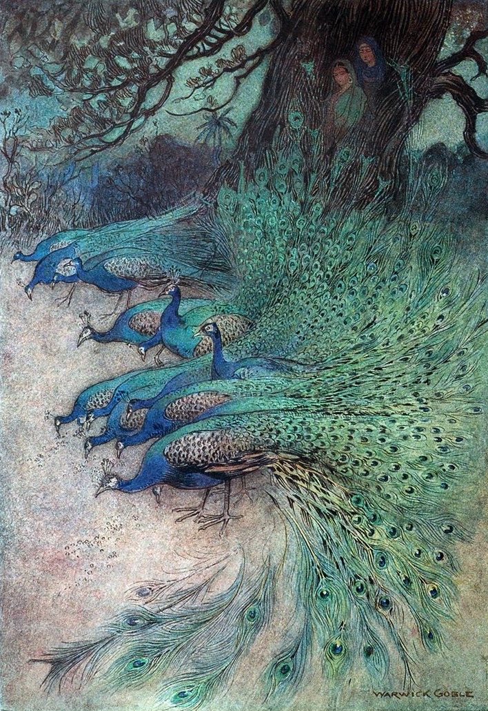 Hundreds of peacocks of gorgeous plumes.. 
#WarwickGoble #FolktalesofBengal #FairyTaleTuesday