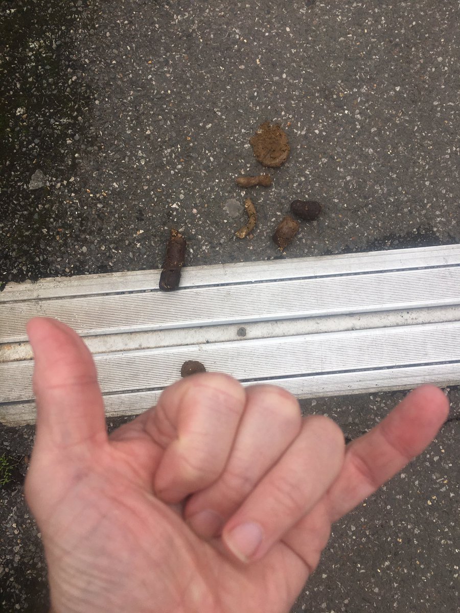 #notinkonaspam 
#Day2
Ali’i drive of a morning is pretty special, but it’s nothing compared to the path outside my house.. Most days I can see this.. #blessed #nofilter